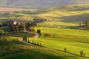 英超联赛调皮图标，那些让人忍俊不禁的球队标志英超联赛调皮图标